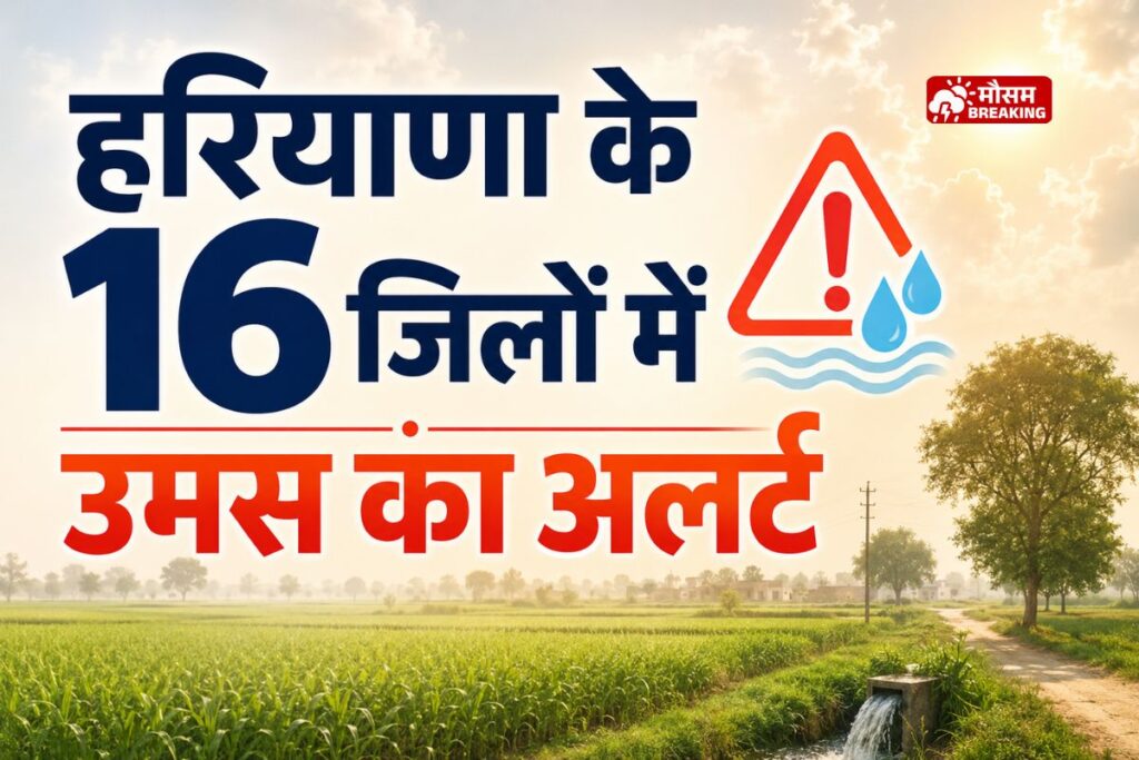 हरियाणा में मानसून कमजोर और 16 जिलों में उमस का यलो अलर्ट