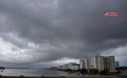 Monsoon Today 11 August 2026